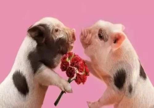 东莞婚外情调查取证：养父母和养子女是直系亲属吗